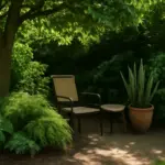 Come creare uno spazio verde ombreggiato? Scopri piante ideali e consigli per ottenere frescura naturale