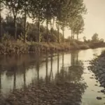 Canali irrigui storici: come piccoli corsi d’acqua artificiali hanno modellato campi e insediamenti