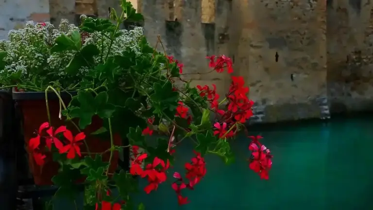 Orti ai margini dei borghi: cosa raccontano muretti, accessi all’acqua e piccoli appezzamenti