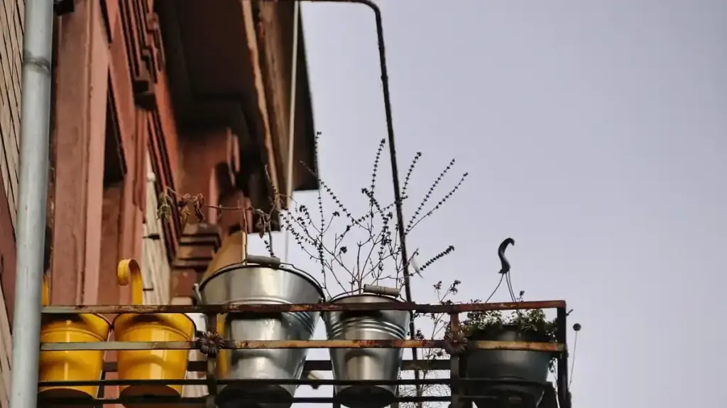 Lumache nei vasi sul balcone: dove cercarle prima di intervenire